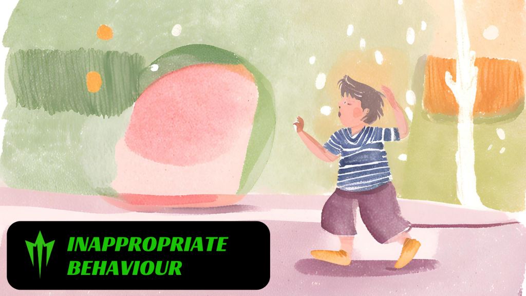 Inappropriate Behavior